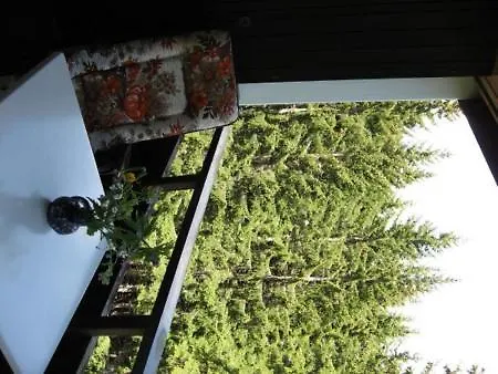 아파트 Haus Brueggli B24 *